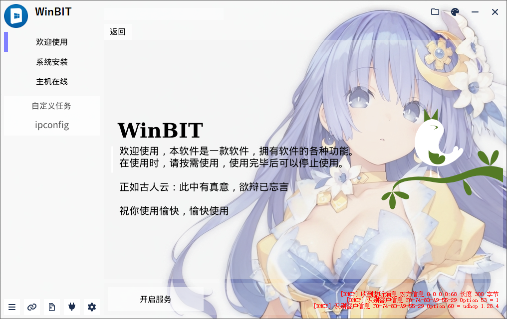 皮肤样式B
